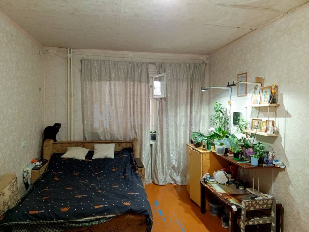 2-комнатная квартира, 44.3 м2 4/5 этаж, Намыв, ул. Российская - фото 2