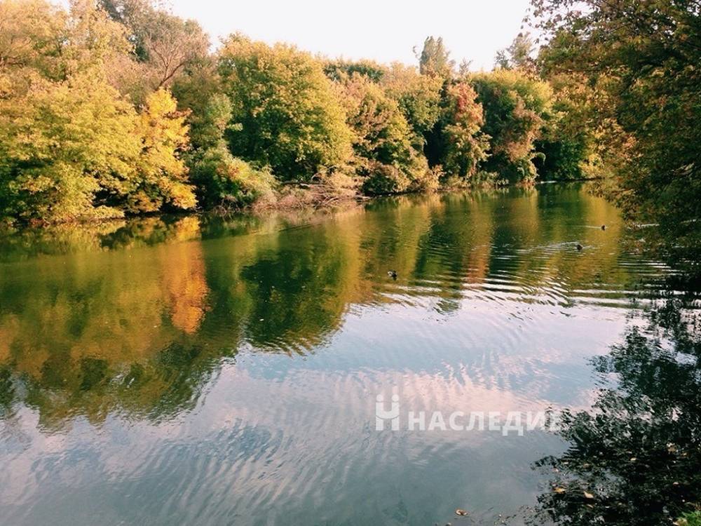 ЖК «Военвед-парк» в Ростове-на-Дону - фото 6